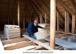 Best Wall Insulation Installation  in Cass City, MI